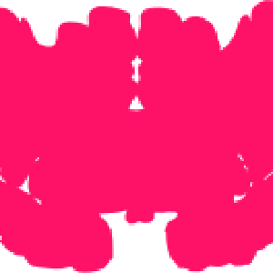 portrait.png